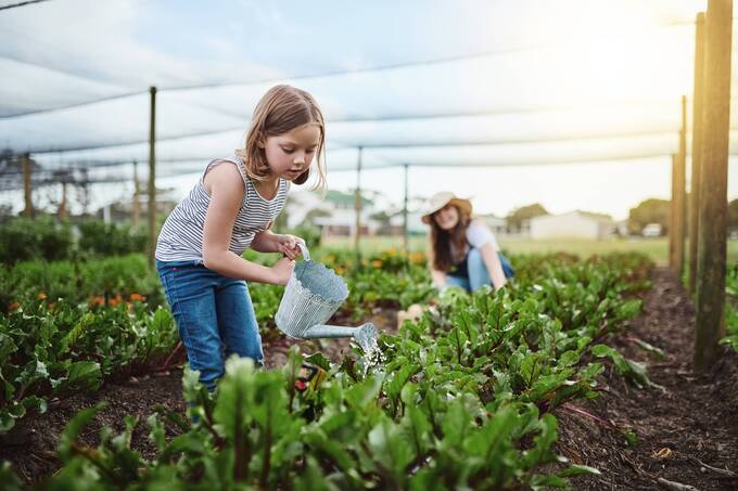 Monabanq  Les bonnes pratiques pour sensibiliser les enfants à l'écologie